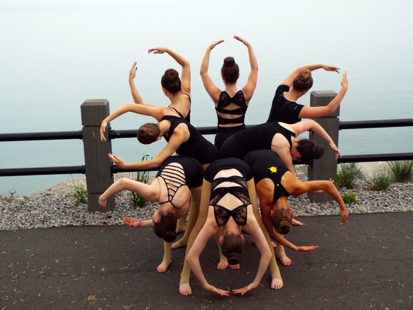 Home Spotlight Dance Works